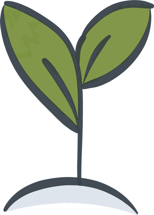 wachsende Pflanze als Symbol für wachsenden Domainbestand